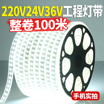 LED light strip 220v outdoor waterproof basement tunnel site lighting decoration lighting white light strip 24V36V