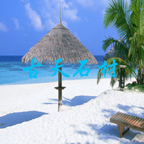 White beach sand artificial beach with white sand 20-40 mesh white sand childrens paradise white sand