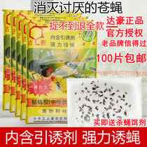 Dachau strong sticky fly glue paste fly paper sticky fly board mosquito fly fly fly trap