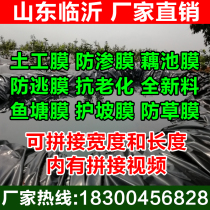 Geomembrane seepage membrane Fish pond fish pond waterproof membrane Breeding membrane Lotus root pond seepage special black plastic film
