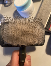 Pippi pig needle comb dog cat comb pet beauty open knot bottom hair pull fluffy brush