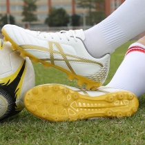 Messi Cro Little Li Zi football shoes male and female student artificial grass AG Long nail TF Crushed Nail Neymar training