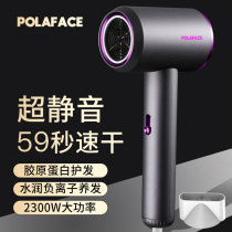  German hair dryer Household high-power negative ion hair care hair salon barber shop hair dryer silent fuchsia