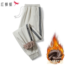 Red Dragonfly Winter 2022 New Mens Cotton Pants External Wear Plus Suede Thickened Warm Casual Long Pants 100 Lap Windproof