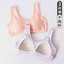 Japanese Teenage Girl Underwear Hair Birth Junior High School Junior High School Kids Pure Cotton Summer High School Students Puberty Bra
