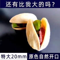 Primary color salt baked open pistachios large particles without bleaching original new products pregnant women baked nuts dried fruits