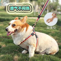Dogs traction rope Pet Vest Style Mid Sized Small Dog Teddico Fund Hair Dog Chain Chest Harness for walking dog ropes