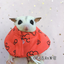 Little pet Elizabeth ring honey grossed hamster Golden Bear headgear for anti-licking wound care