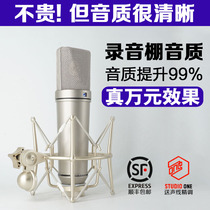 Microphone Newman u87 professional capacitor anchor recording studio artifact dedicated K song live equipment singing microphone