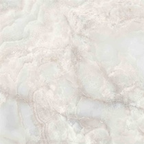 (Harbin Hasi Mall) Nobel wall tiles NE80212 Champagne jade 800 * 800 anti-slip