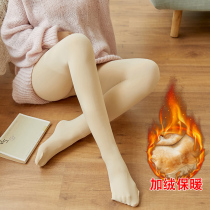 Pregnant women bottomed socks leggings plus velvet pantyhose Spring and Autumn wear autumn and winter socks pants pregnant women stockings
