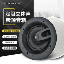 Teana family background music speaker HIFI fever grade fixed resistance ceiling horn ceiling sound JX-602