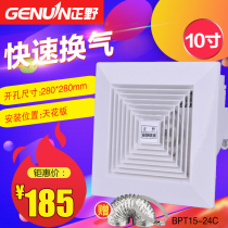Zhengye exhaust fan 10 inch ventilation fan Ceiling kitchen bathroom exhaust fan exhaust fan BPT15-24C