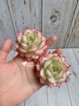 Wei original clay fleshy simulation resin clay fleshy DIY crafts home decorations forever flowers