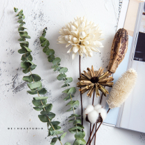 Handmade dried flower combination package package Zen bouquet pastoral hipster dried flower TV cabinet flower arrangement home decoration