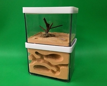 Small Geocentric nest Ant Nest Ant Workshop Ant Castle Ant Farm Betta fish tank Birthday gift