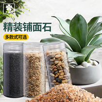 Natural rainstone micro-landscape paving pebbles succulents landscaping fish tank flower pots Colorful decorative small stones