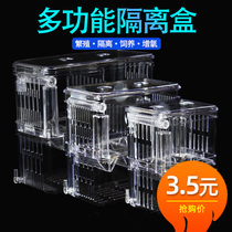 Guppies breeding box fish tank acrylic Fry isolation box suspended zebrafish incubator box fish delivery room