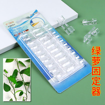 Green Luo holder climbing wall artifact wall row insertion router wiring fixing clip non-perforated transparent adhesive hook buckle