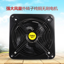 Chenle outer rotor 12 inch high speed wall type industrial ventilation fan Kitchen exhaust fan high power exhaust fan 300mm