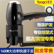 Wall-mounted professional high-power hotel hotel household bathroom bathroom wall-mounted hair dryer Hair dryer Hair dryer