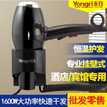 Wall-mounted professional high-power hotel hotel home bathroom bathroom wall-mounted hair dryer Hair dryer Hair dryer Hair dryer