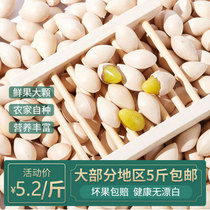 Fresh premium large shelled white fruit Ginkgo Biloba fruit Bleached Taixing Dried Fruit 500g