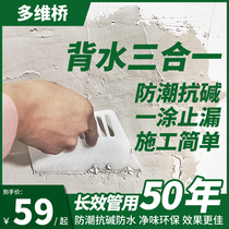 Back water surface waterproof coating leak repair interior wall roof moisture mold basement negative water pressure artifact ceiling rubber material