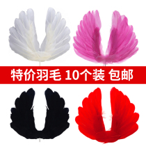 (10) Feather birthday cake decorated with large black white net red love feather wings plugin