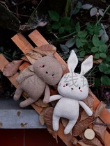 Little Bear Nali and Little Rabbit Road can be Chinese weaving doll graphic description drawing