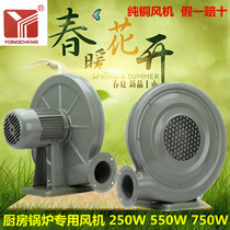 Yongcheng brand CZ-TD550W250W medium pressure low noise centrifugal boiler stove blower 220V powerful fan
