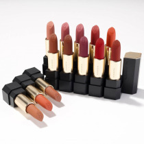 Spot Japan SUQQU 2021 autumn Sheer Matte rich mist translucent Matte Lipstick Lipstick 102