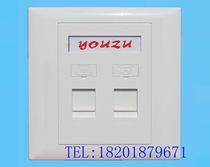 Original excellent family double Port Panel Network panel flat wall panel information panel 86 type panel