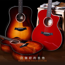 Taylor Taylor Guitar Folk Face Single Notch 210E Electric Box Guitar 214EC CF 224ce-K DLX