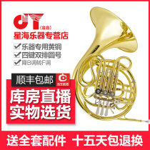 Xinghai Jinyin JYFH-E130G four-key double-row flat B turn F-tone dual-use painted gold horn