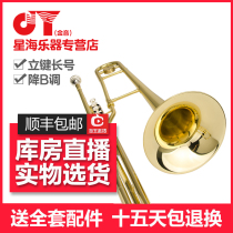 Xinghai original gold tone pull tube trombone JYTB-E120G March trombone piston Trombone pull