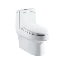 chao xuan feng water-saving toilet