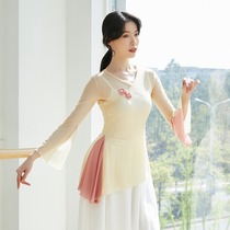 Classical dance practice clothes female dance clothes elegant fairy Air National Chinese dance costumes costumes tops summer