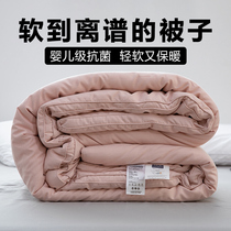 Light and soft warmth -- Summer thin Quilt Quilt Core Thickened Single Double Winter Spring Autumn Quilted Cotton Quilted By Winter Quilt