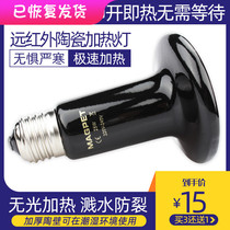 Reptile feeding box lizard ceramic heating lamp crawling turtle heating lamp hedgehog turtle box tortoise insulation lamp pet