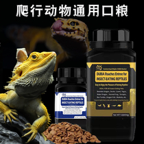 Magic mane lion lizard pellet feed BAO WEN Gong gel blue tongue crawling lizard universal grain dubiya