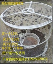 Fly trap artifact trapping cage to extinguish fly cage to extinguish fly lure tool to catch restaurant killer household