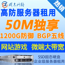 High-defense two-wire BGP five-wire independent physical server rental legendary micro-end website page game second solution trial