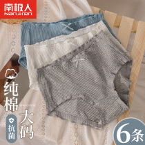 Antarctic underpants women cotton waist waist belly lift hip Japanese girl cotton antibacterial crotch breathable Lady breifs