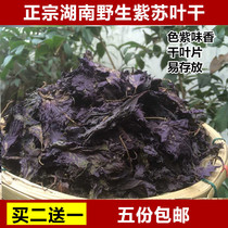 Buy two get one free Hunan specialty Perilla leaf dry tea bath to fishy roast fish crab dried perilla leaves five