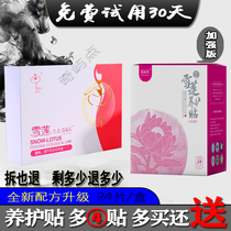 Jintian International Futie Snow Lotus Ecological Maintenance Paste Women's Sex Anti-itch Private Parts Odor-removing Care Pad Bacteriostasis