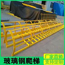 Factory sewage pool can be customized platform herrink construction site telescopic cage house climbing glass reinforced plastic ladder cage