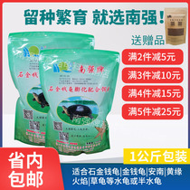 Nanqiang brand stone money turtle material black neck money turtle pet turtle pet turtle feed turtle grain general special tortoise grain