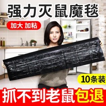 Anti-mouse climbing water pipe artifact paste super large number efficient catch and drive commercial adhesive board super glue Big Mouse King
