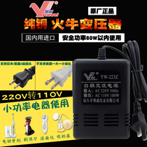 Purifier special power supply Yuewei YW-223Z 220V to 110V autotransformer 100W AC converter